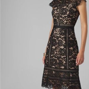 White House Black Market cocktail dress
Beautiful dress w/ lace overlay